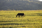 Bieszczady