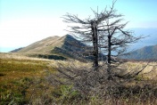 Bieszczady