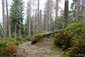 Babiogórski Park Narodowy