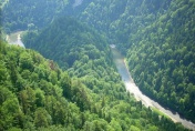 Pieniny